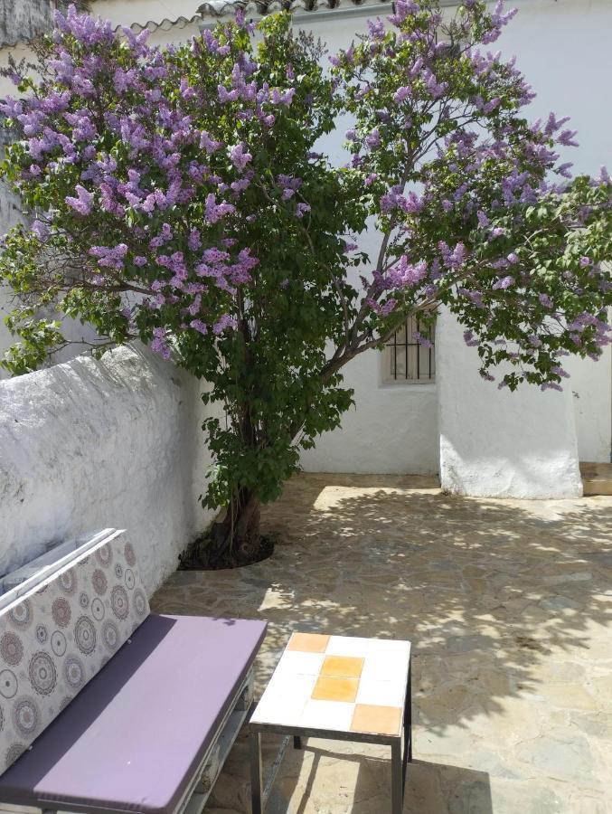 Casa Bejar, Tranquila Casa Con Chimenea, Patios, Junto A La Piscina Villa Canete la Real Luaran gambar
